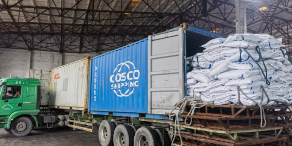 威九国际·V9(中国)最新官方网站