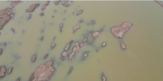 威九国际·V9(中国)最新官方网站